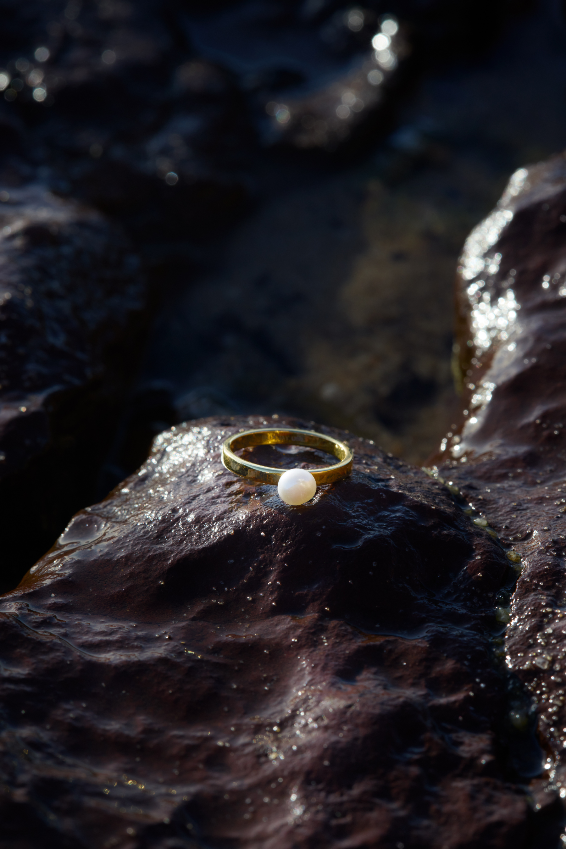 The Bailey Ring