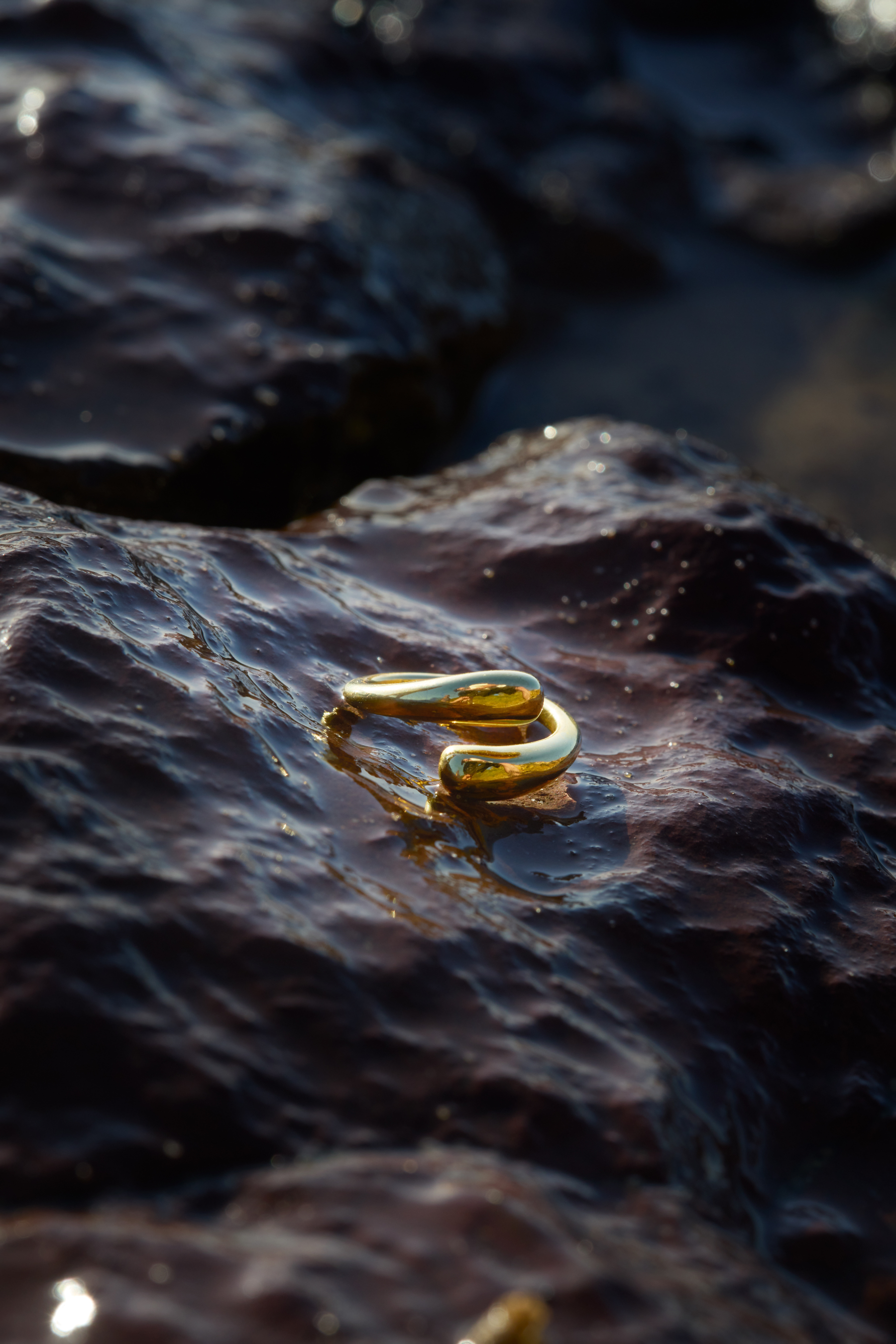 The Frankie Ring